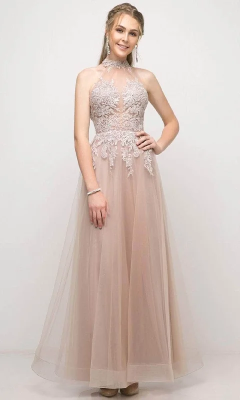 Formal dresses with pleated yokes and button - up fronts for a classic and refined lookCinderella Divine UT252 - Tulle High Neck Embroidered Gown Formal dresses with pleated yokes and button - up fronts for a classic and refined lookCinderella Divine UT252 - Tulle High Neck Embroidered Gown